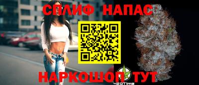 сатива Кандалакша