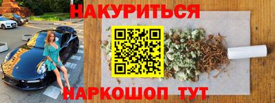 сатива Кандалакша
