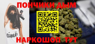 индика Кинель