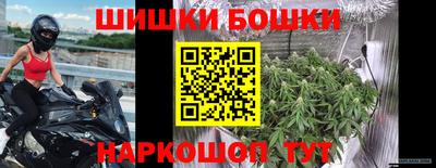 амф Камышлов
