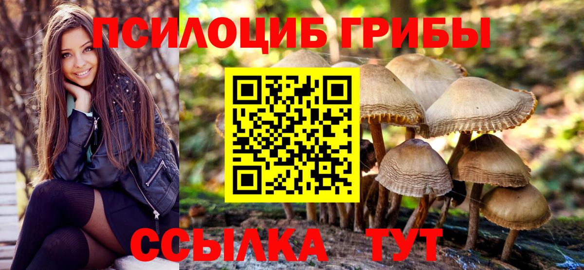 Кудымкар  Амфетамин кристаллы  МЕФ кристаллы  ГАШ  Каннабис  Вход с VPN  Кокаин  ЭКСТАЗИ 