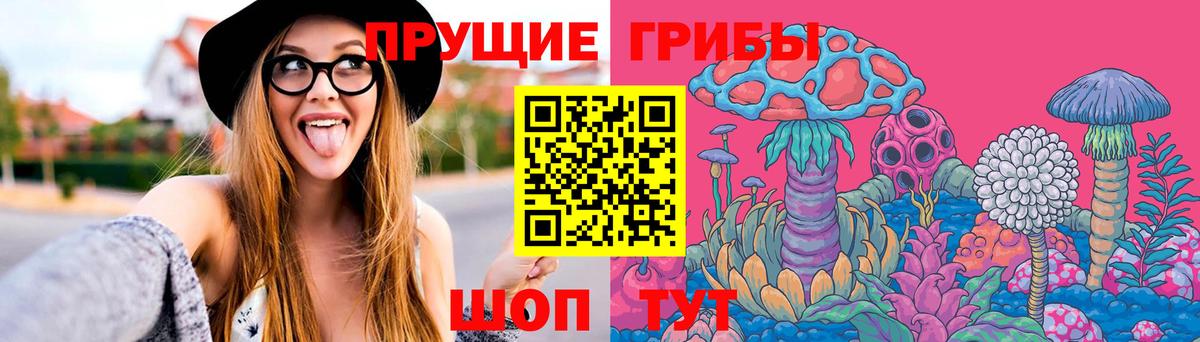 Псилоцибиновые грибы Psilocybe Кудымкар