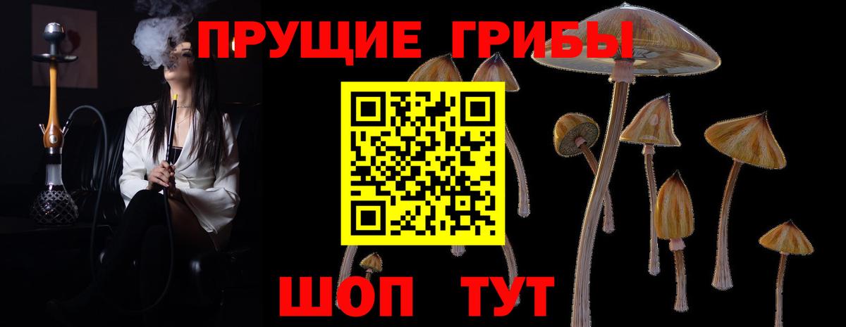 Кудымкар  Галлюциногенные грибы мицелий  Вход с VPN 